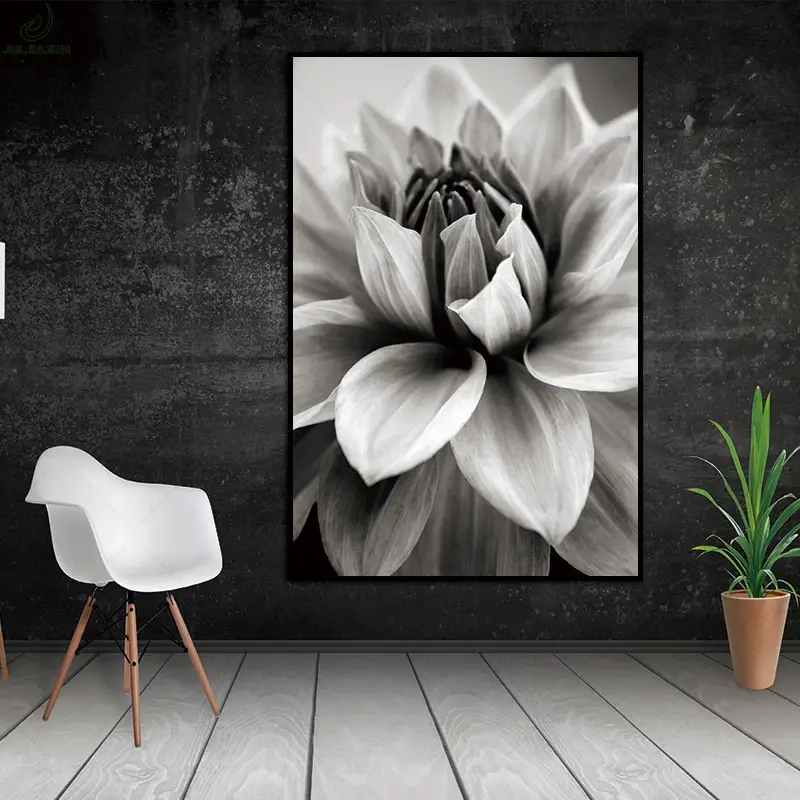 A monochrome photography collection